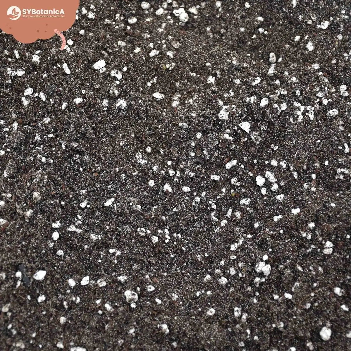 Farn-Substratmischung vor weißem Hintergrund, Produktfoto 5.