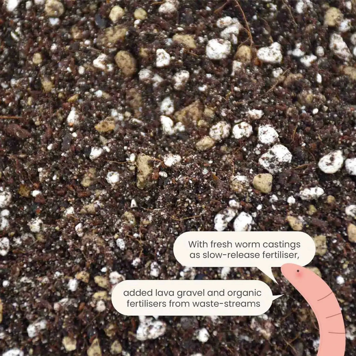 Cacti & Succulent Soil Mix on white background, product photo 6.