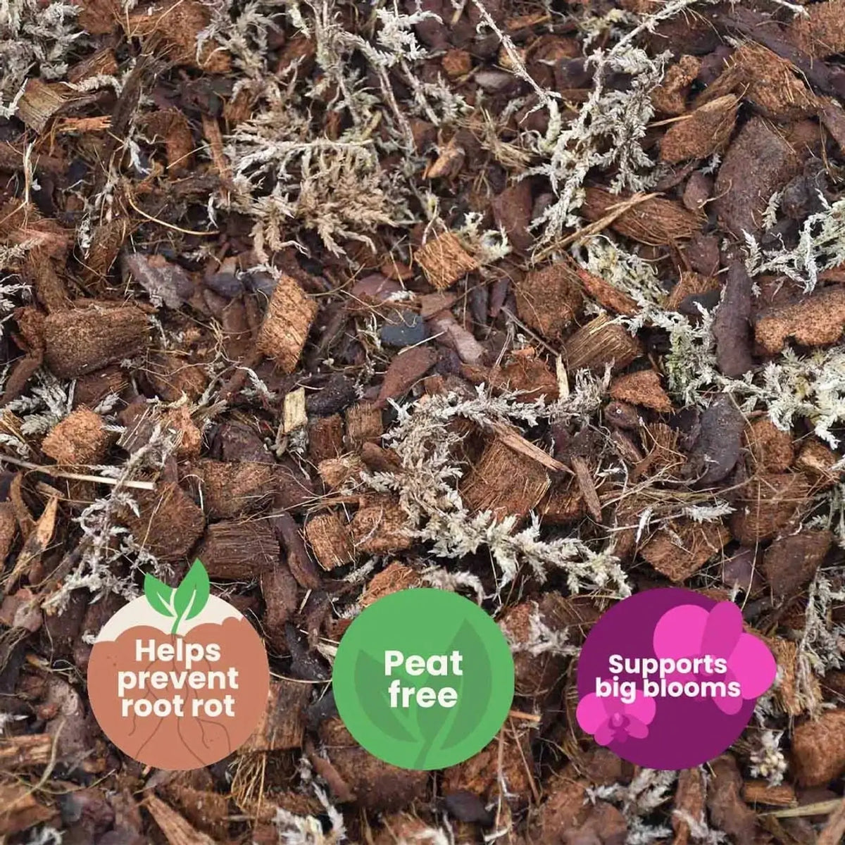 Orchid Potting Mix on white background, product photo 7.