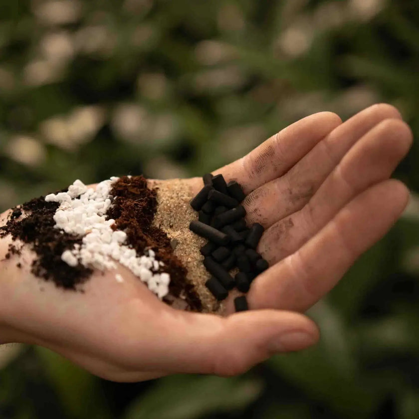 Fern Soil Mix on white background, product photo 2.