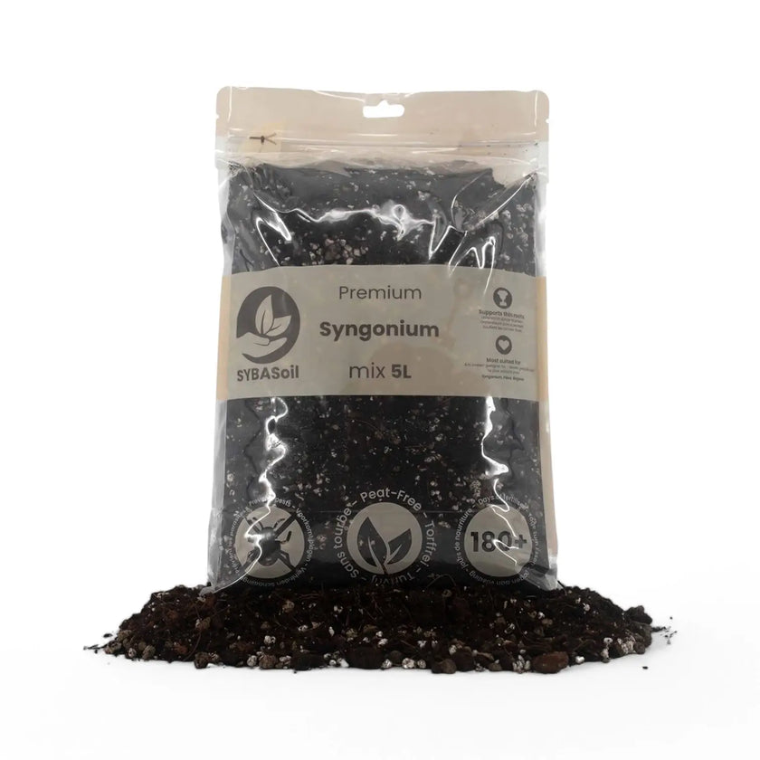 Syngonium Potting Mix main product photo on white background.