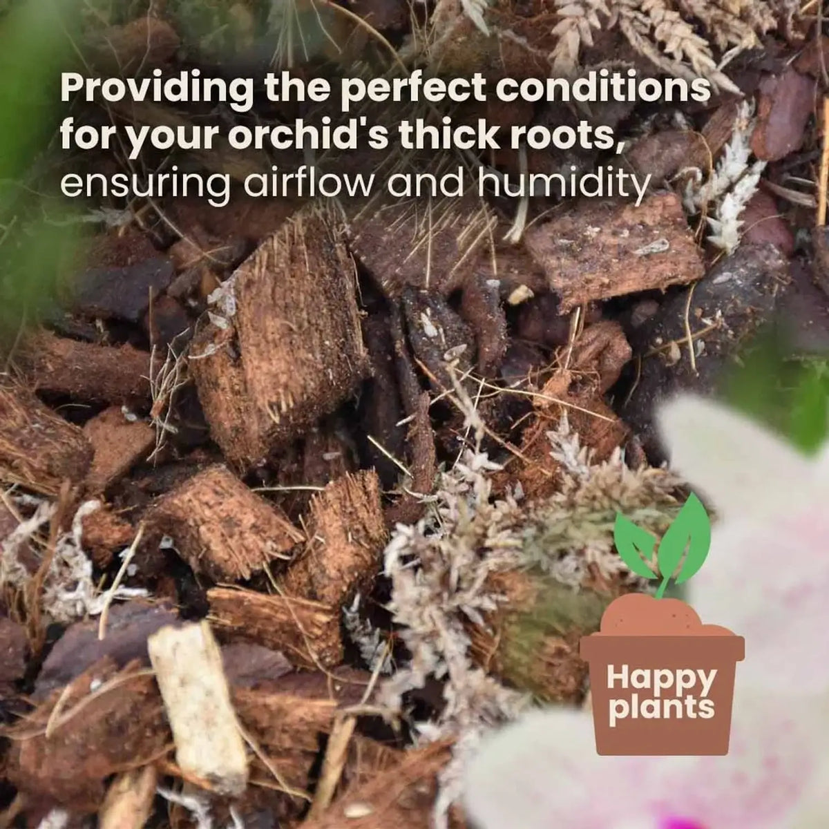 Orchid Potting Mix on white background, product photo 8.