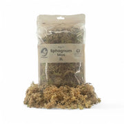 Sphagnum-Moos – Haupt-Produktfoto auf weißem Hintergrund.