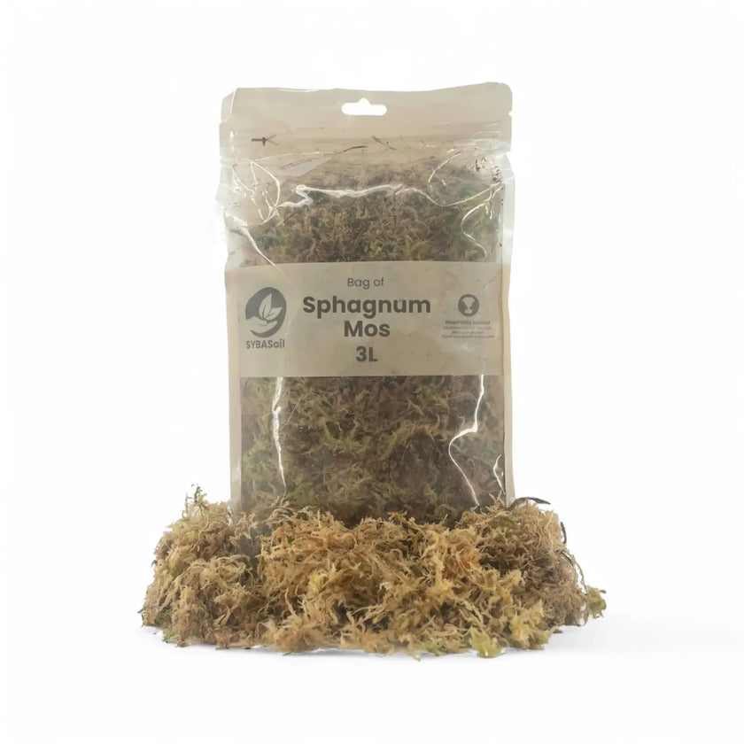 Sphagnum moss main product photo on white background.
