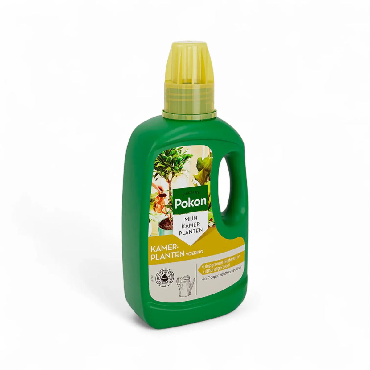 Pokon Houseplants Food on white background, product photo 6.