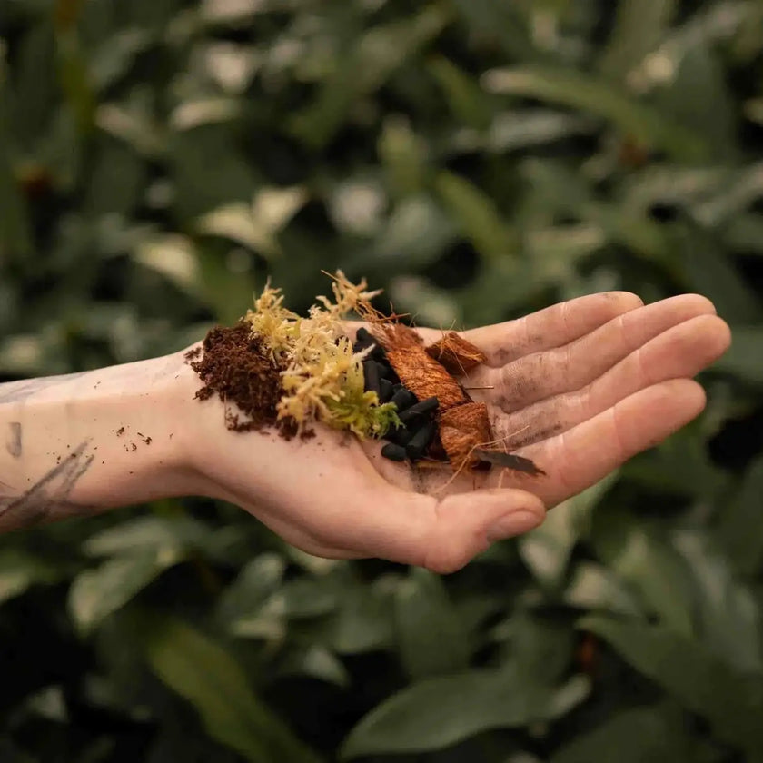 Terrarium Substrate Mix on white background, product photo 2.