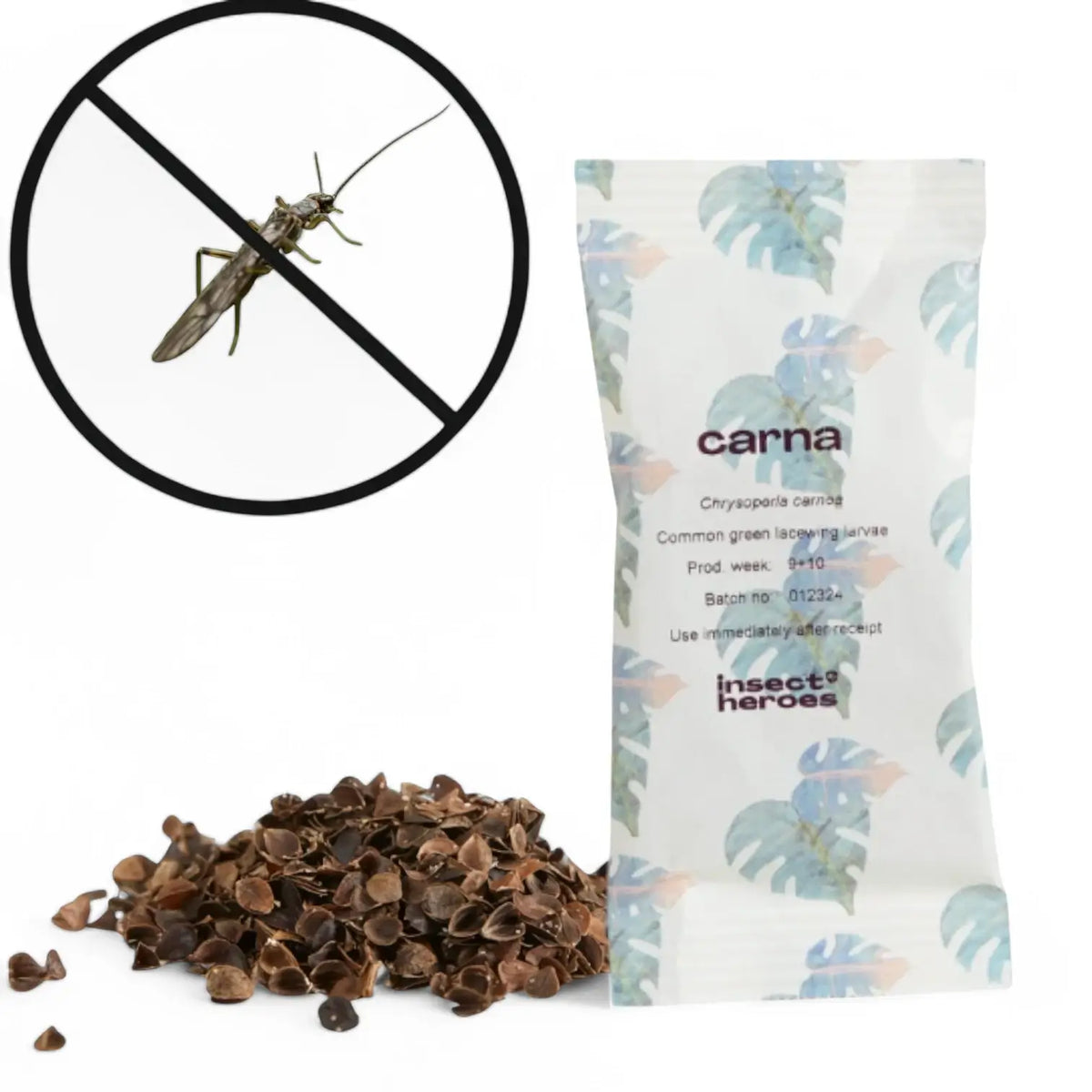 Chrysoperla carnea - gegen Blattläuse und Thripse vor weißem Hintergrund, Produktfoto 5.