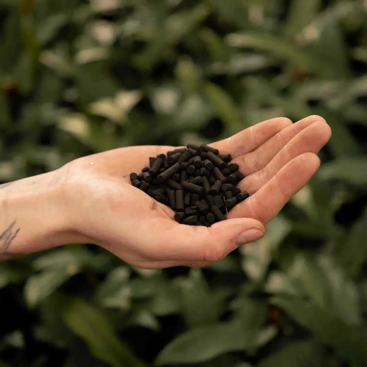 Aktivkohle auf weiĂźem Hintergrund, Produktfoto 3.