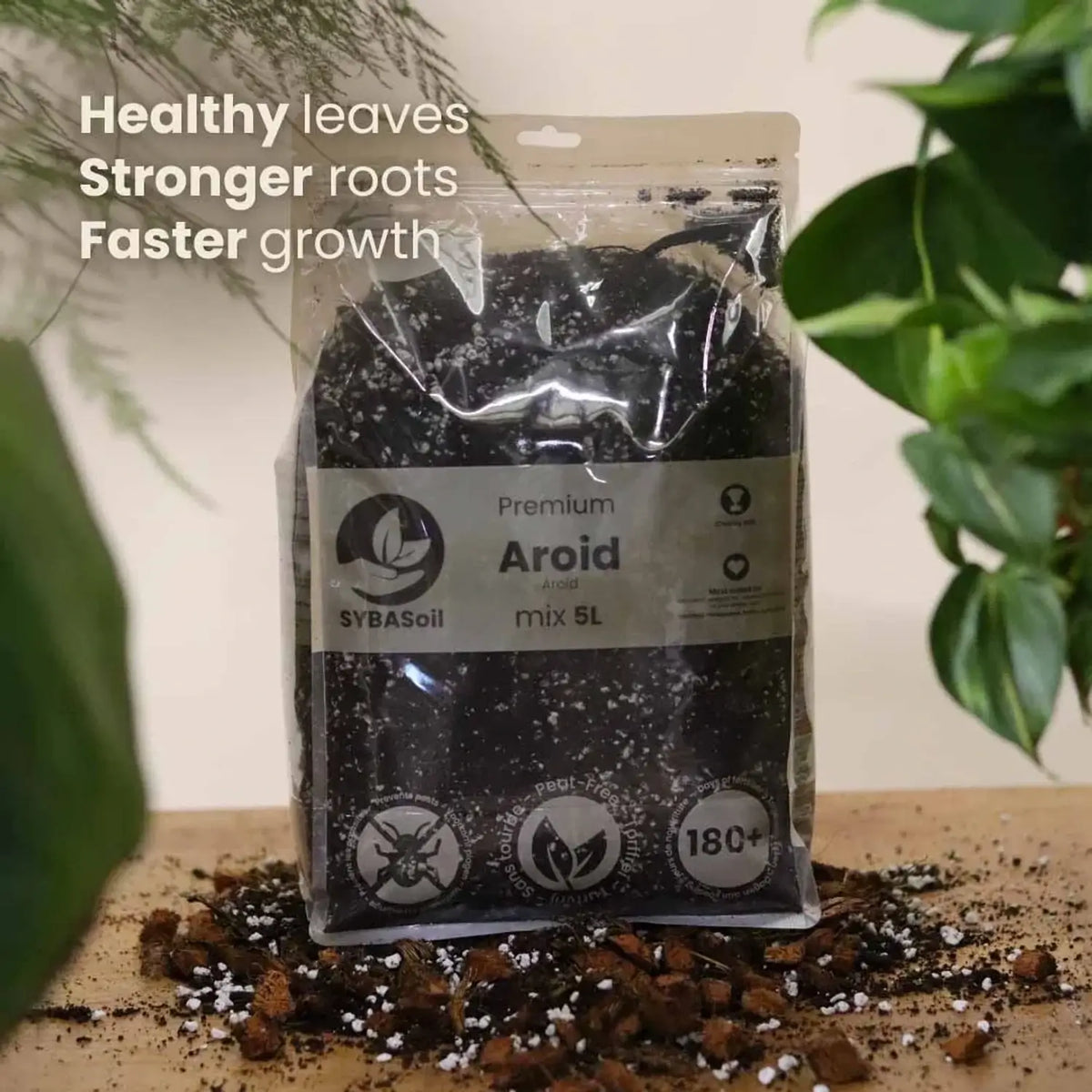 Substratmischung für Aronstabgewächse auf weißem Hintergrund, Produktfoto 7.