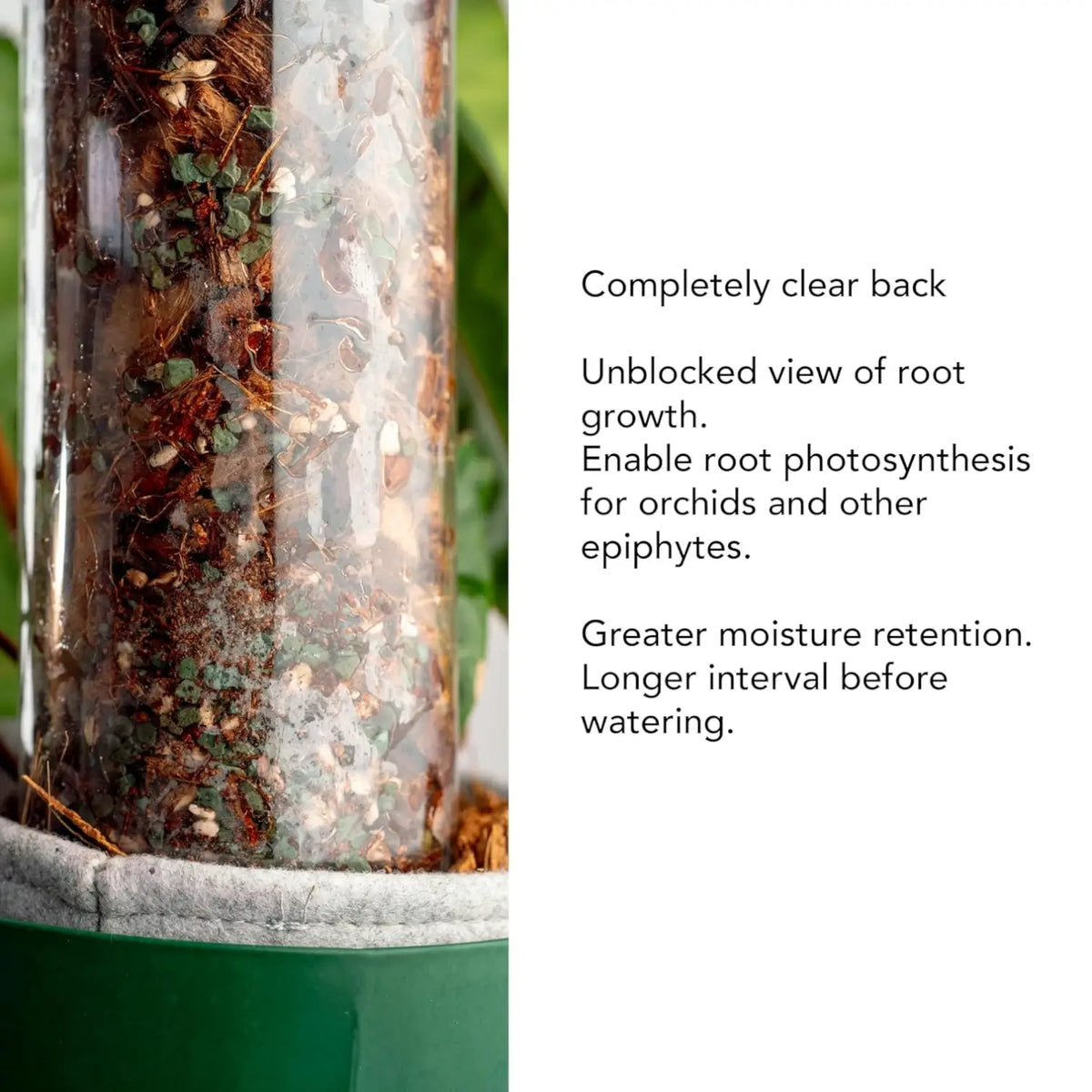 THICCLY® GrowPole™ - ultimative Pflanzenstütze vor weißem Hintergrund, Produktfoto 5.