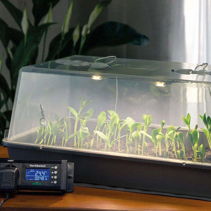 Romberg Greenhouse Maximus Complete LED on white background, product photo 2.