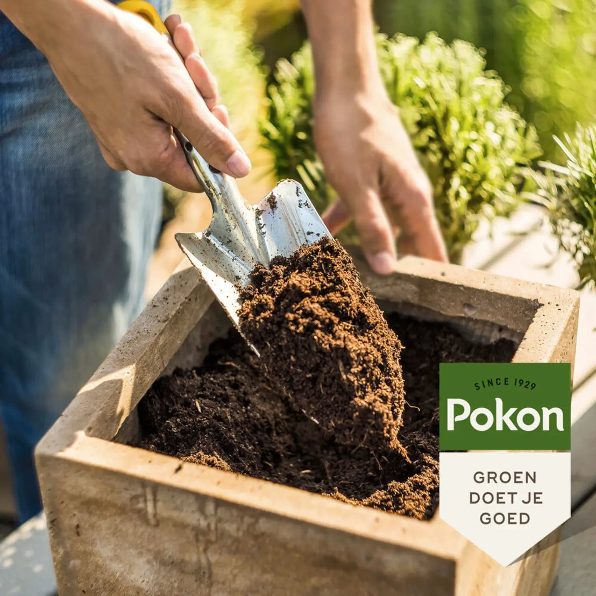 Universal Potting Soil Pokon on white background, product photo 2.
