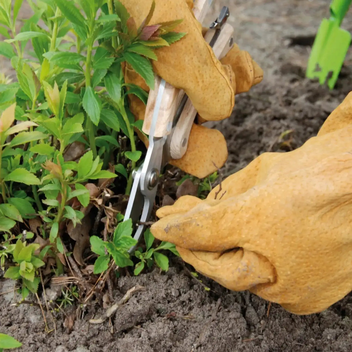 Edelstahl-Gartenschere auf weißem Hintergrund, Produktfoto 4.