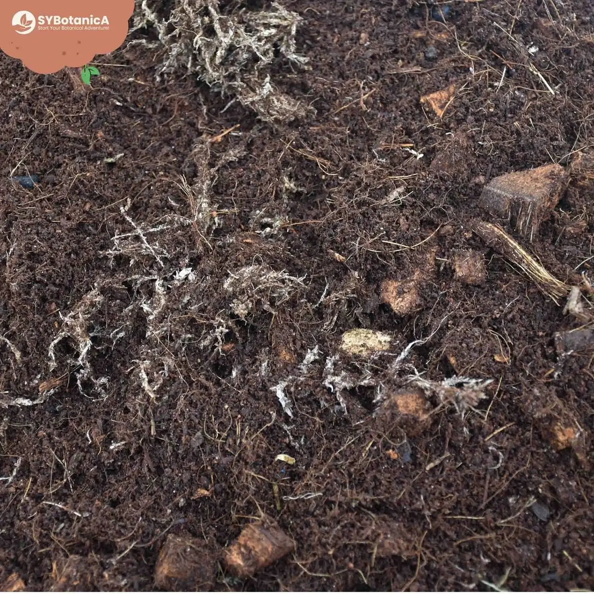 Terrarium-Substratmischung auf weißem Hintergrund, Produktfoto 6.