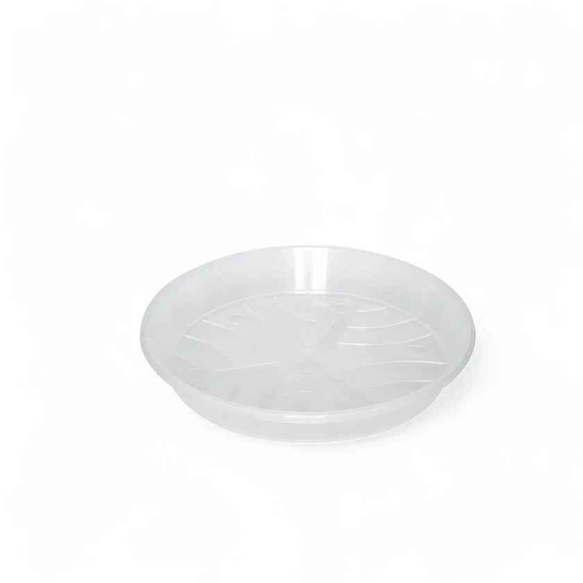 Plant Saucers - Transparent main product photo on white background.