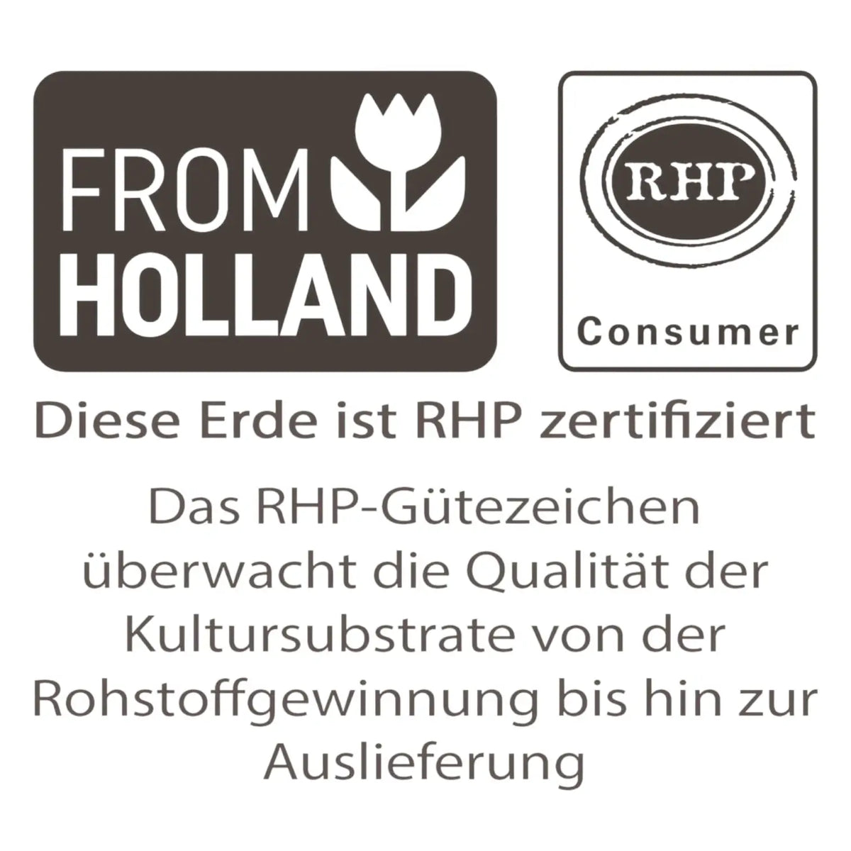 Pokon Palmenerde vor weißem Hintergrund, Produktfoto 4.