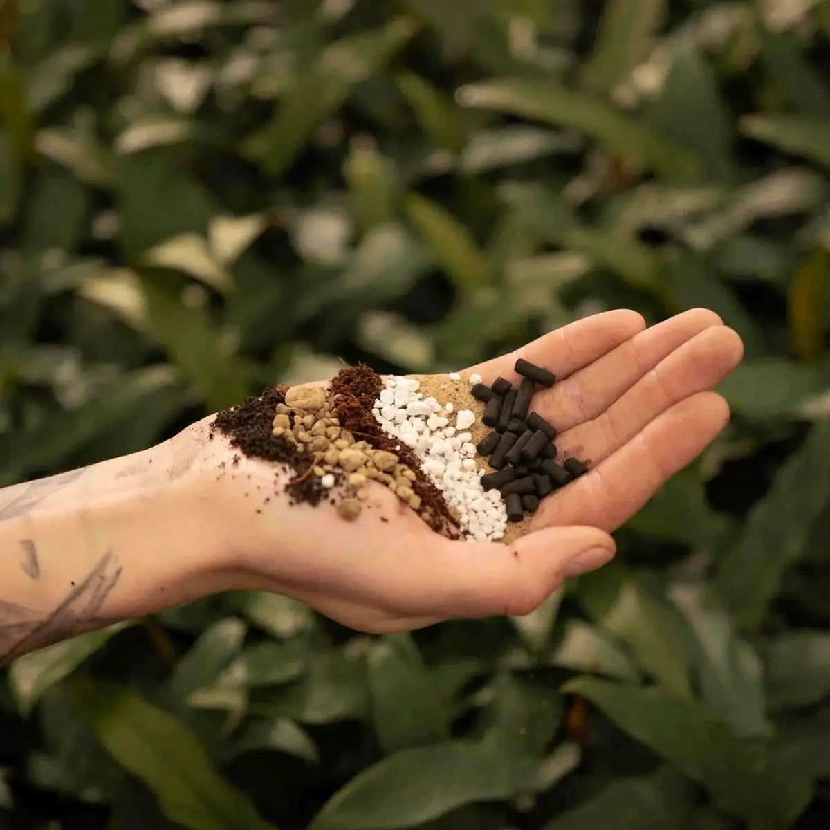 Cacti & Succulent Soil Mix on white background, product photo 2.
