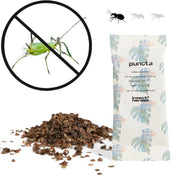 Adalia bipunctata – gegen Blattläuse, Hauptproduktfoto vor weißem Hintergrund.