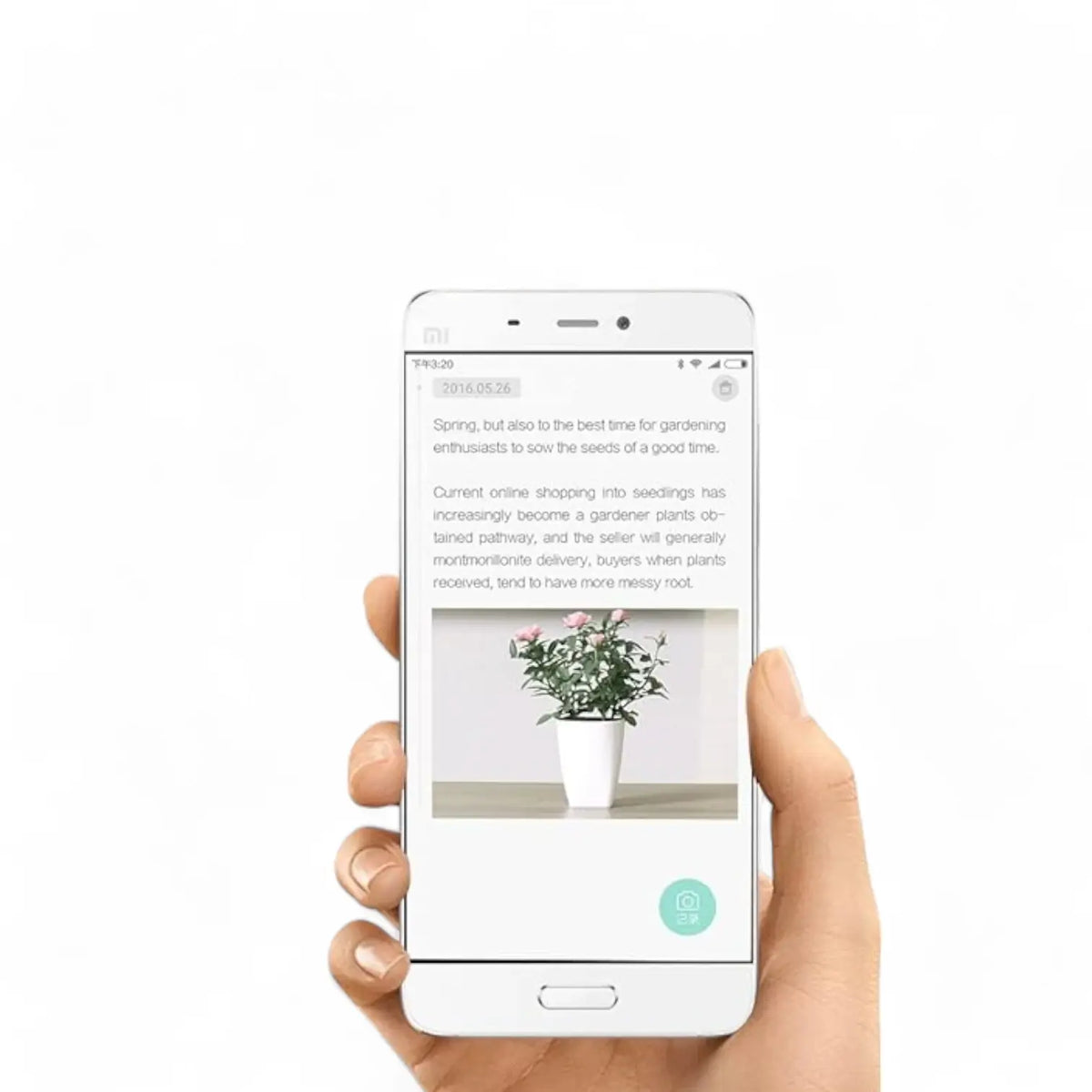 Xiaomi Mi Plant Sensor auf weißem Hintergrund, Produktfoto 4.