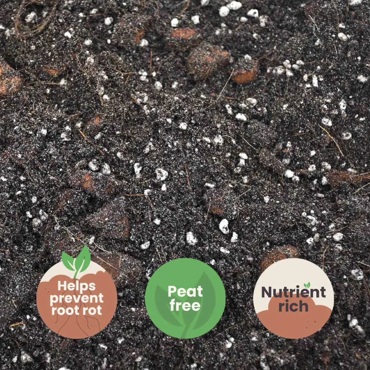 Ficus Soil Mix on white background, product photo 5.