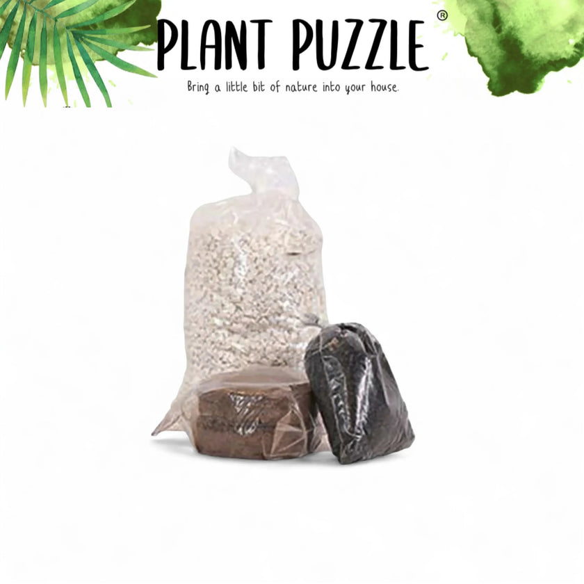 Jar Terrarium Mix – Gravel, Soil, Activated Charcoal on white background, product photo 2.