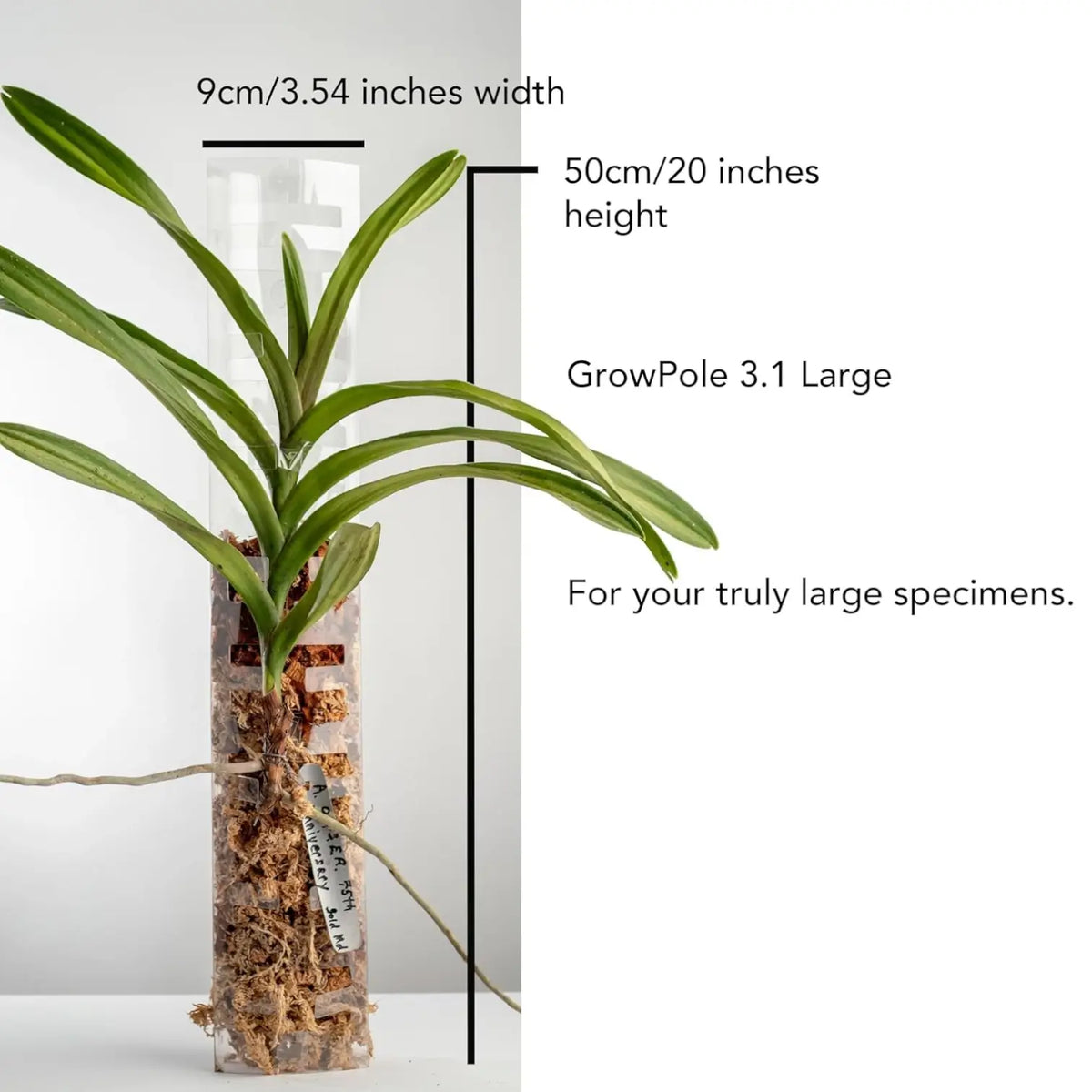 THICCLY® GrowPole™ - ultimative Pflanzenstütze vor weißem Hintergrund, Produktfoto 13.