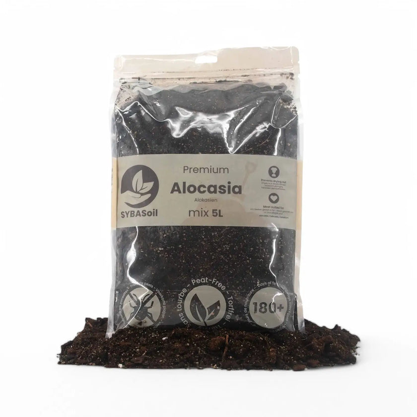 Alocasia Potting Mix main product photo on white background.