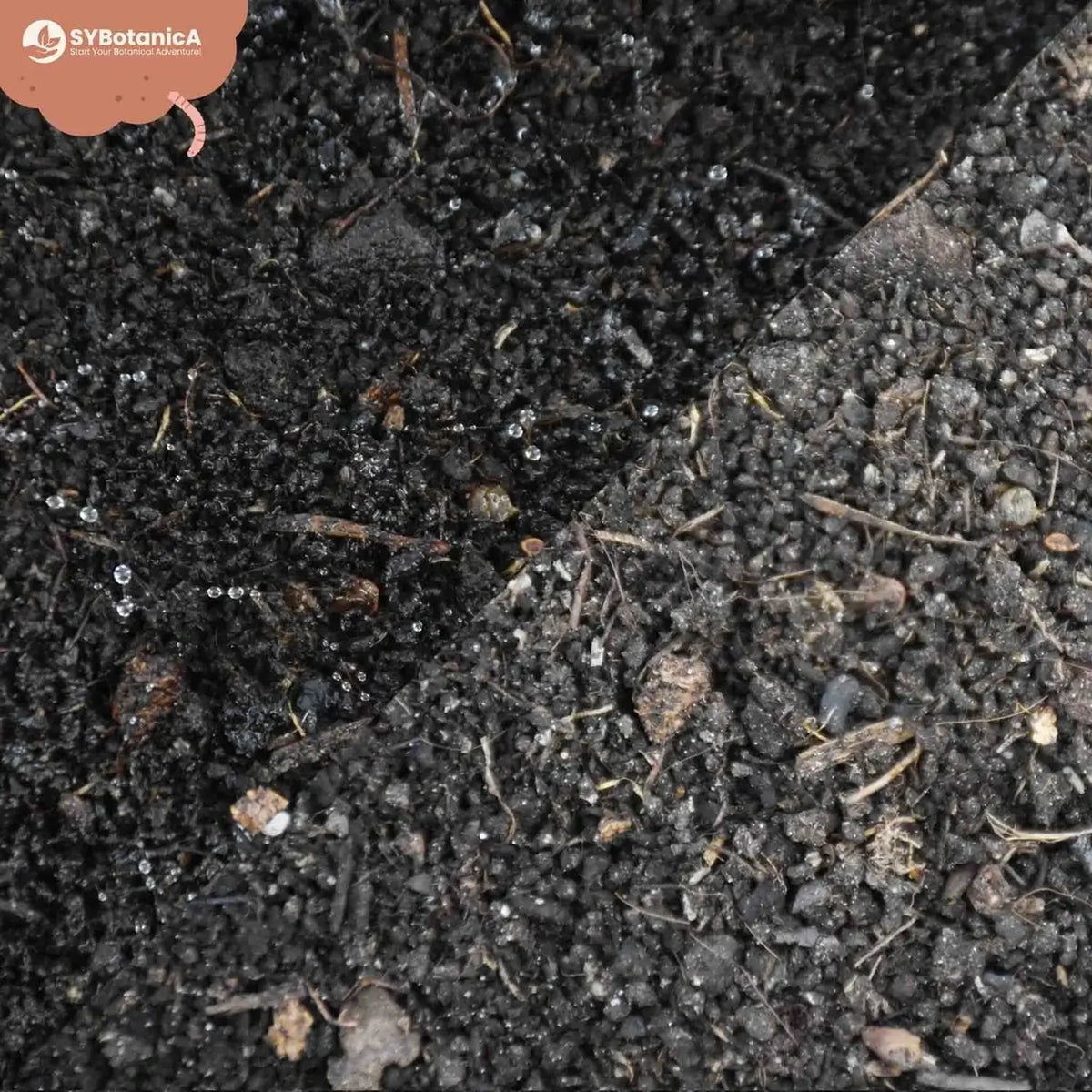 Wurmhumus auf weißem Hintergrund, Produktfoto 6.