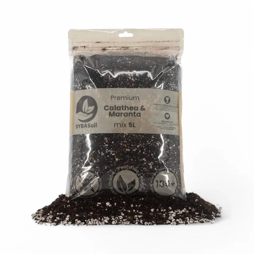 Calathea & Maranta Erdemix, Substrat, Erde Hauptproduktfoto vor weißem Hintergrund.