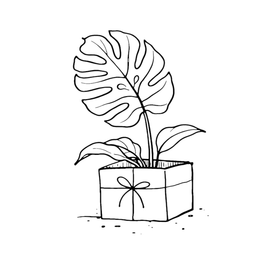 Foliage Factory Geschenkgutschein â Illustration einer Topfpflanze in einer Geschenkbox