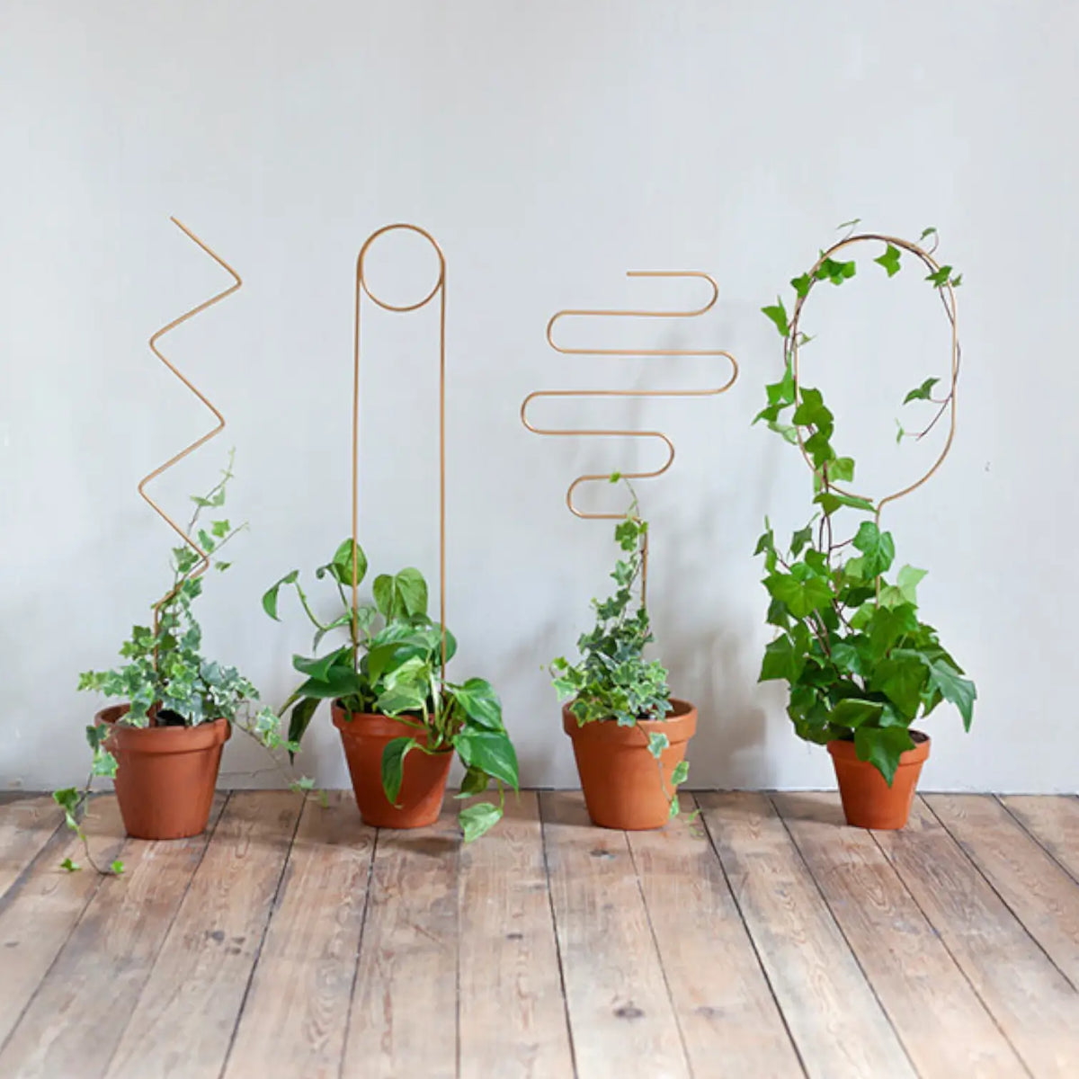 Golden Plant Stakes Hauptproduktfoto vor weißem Hintergrund.