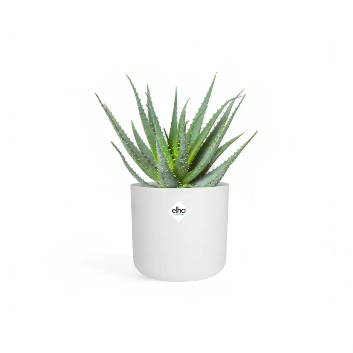 Planter 'b.for soft round' on white background, product photo 5.