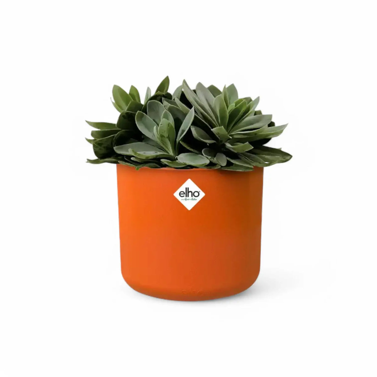 Planter 'b.for soft round' on white background, product photo 7.