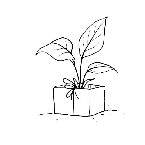Black and white line drawing of a potted plant