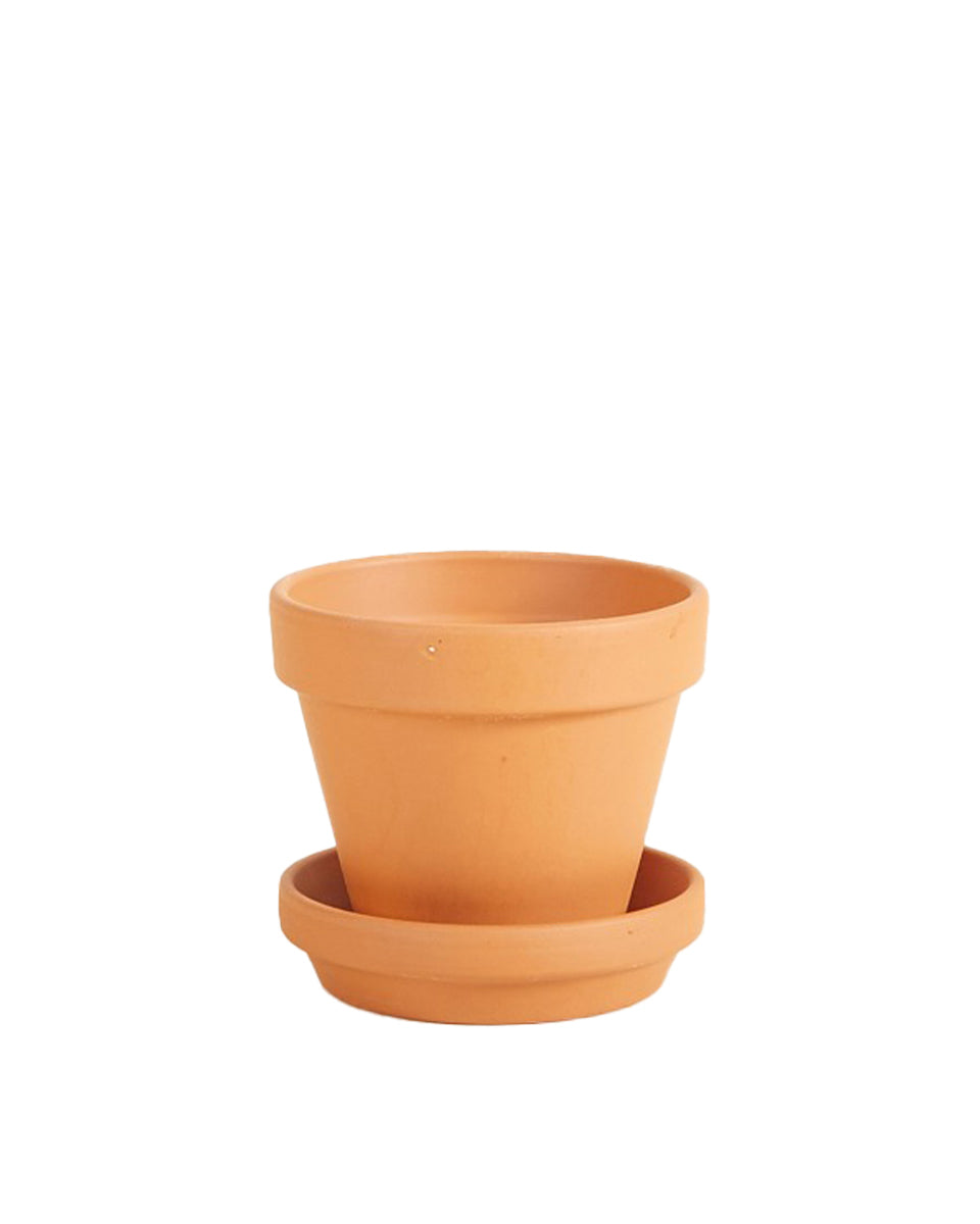 Terracotta pot product photo on white background.