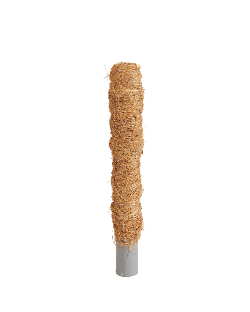 Coco Coir Poles (30–150 cm) product photo on white background.