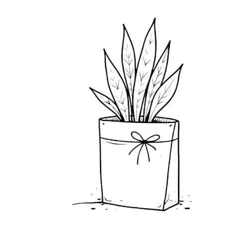 Black and white line drawing of a potted plant with a bow on a white background