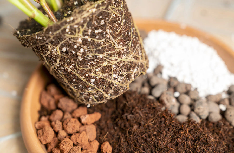 Drainage ≠ Aeration: Why Pots Still Kill Roots