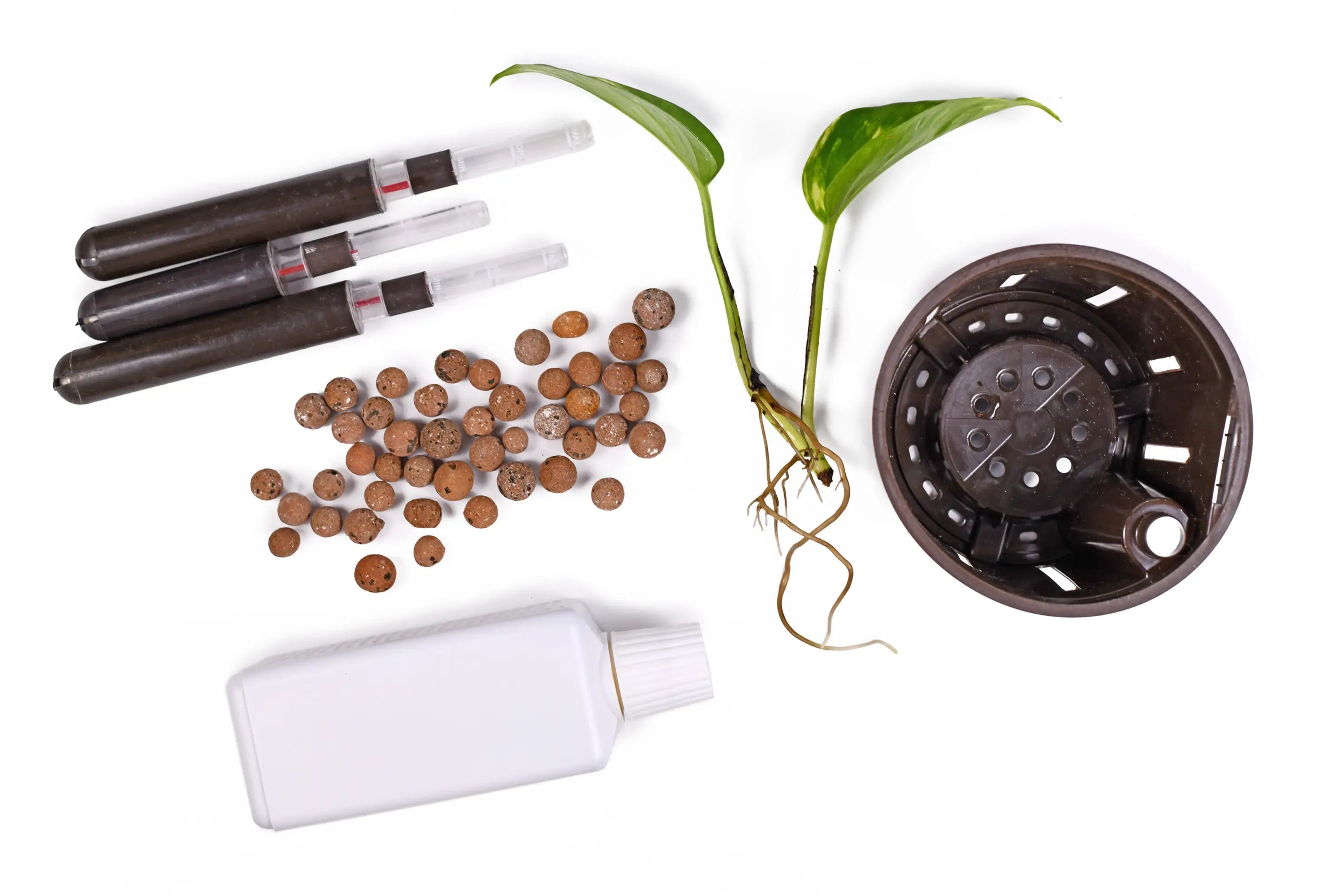 Epipremnum aureum cutting, LECA, self-watering pot, water level indicator, and bottle of liquid fertilizer laid out separately on white background