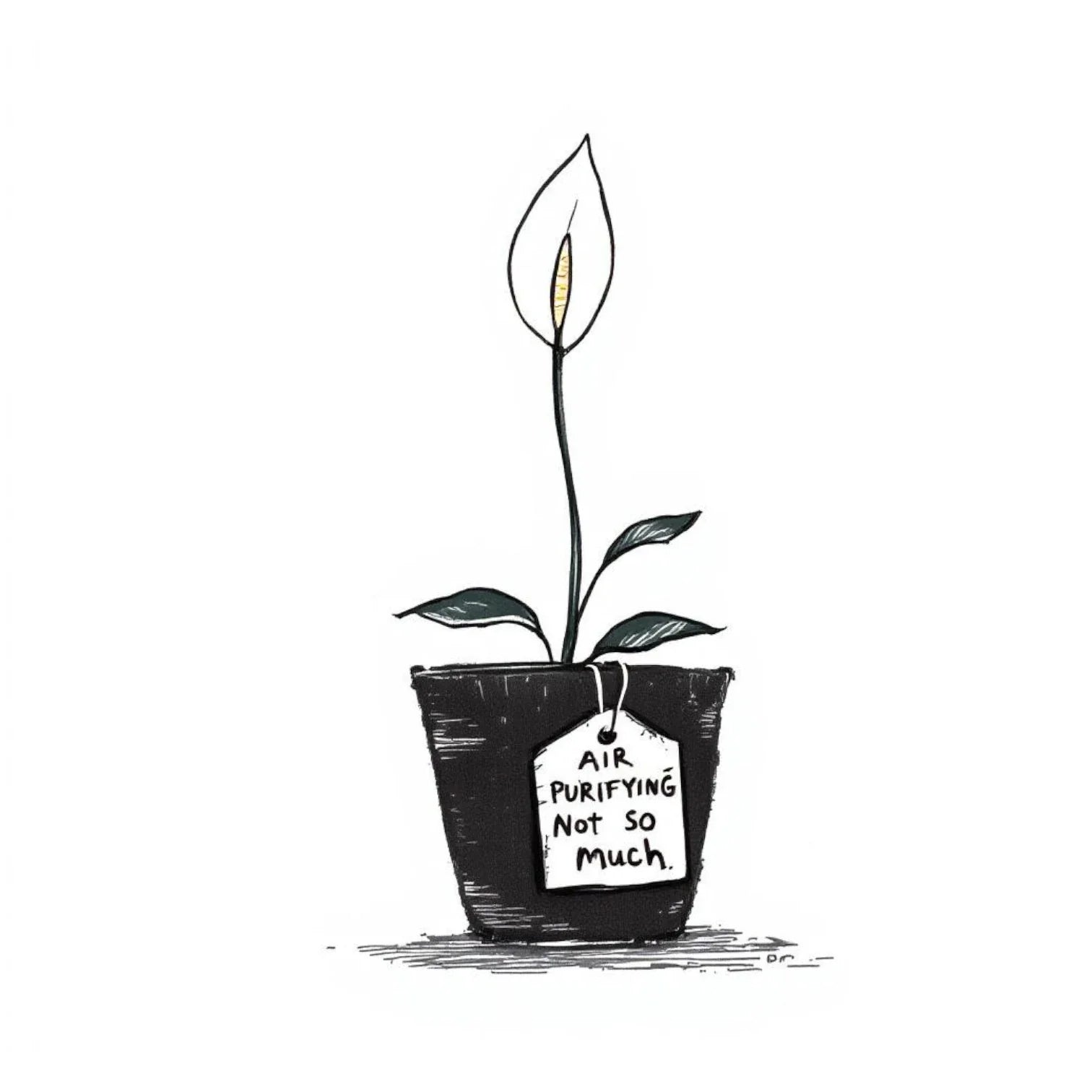 Doodle of a peace lily in a pot with a tag that reads “air purifying – not so much”- Peace lilies are often hailed as toxin removers — but in real homes, their impact is practically zero.