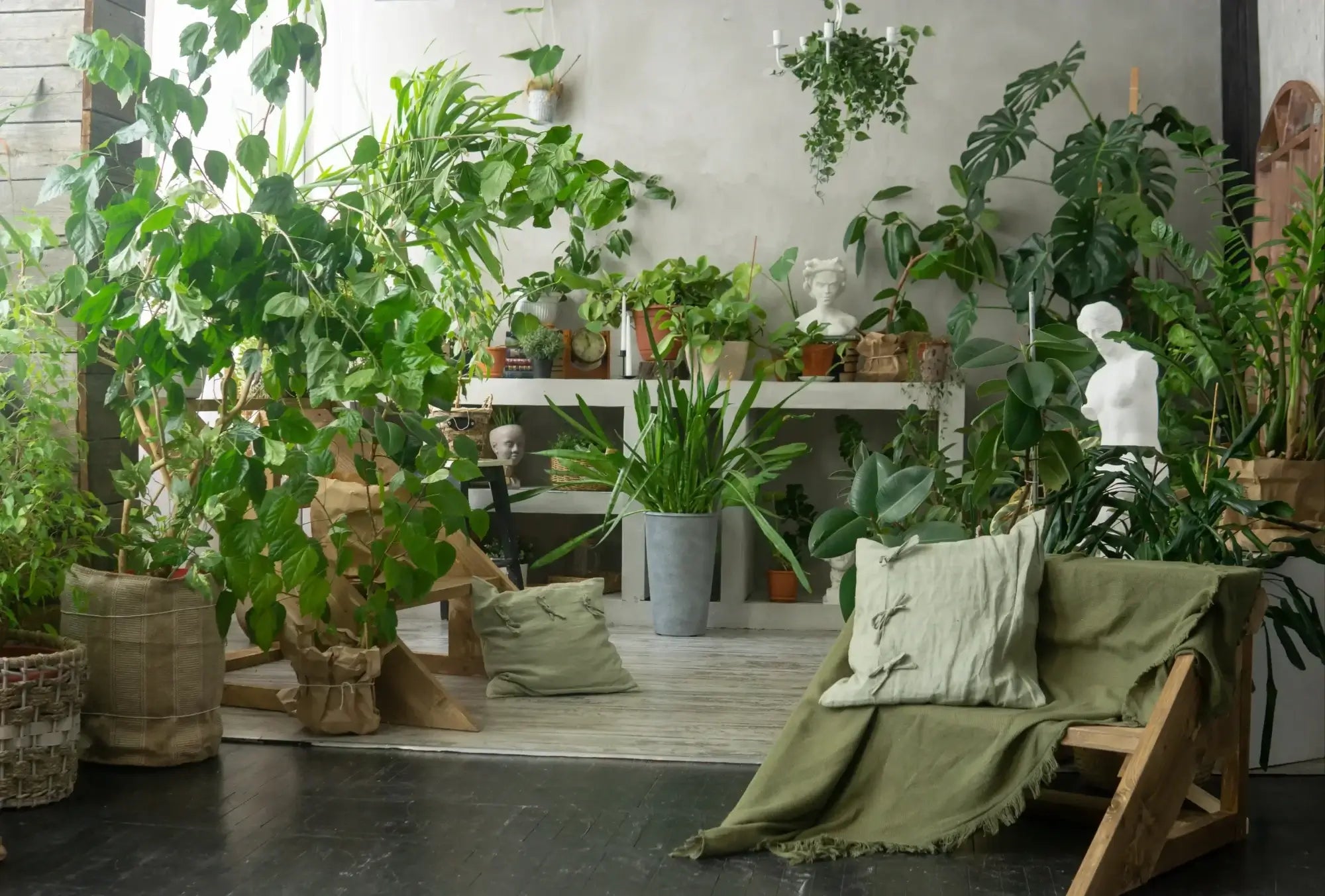 A modern living room with many potted houseplants of different sizes, surrounded by stylish furniture and decorative sculptures
