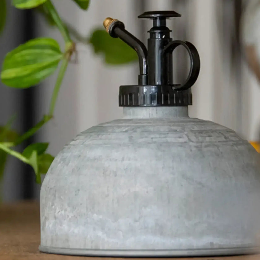 Plant mister 'Oz' on white background, product photo 2.