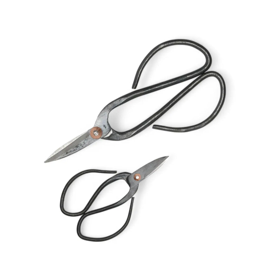 Bonsai pruning scissors on white background, product photo 2.