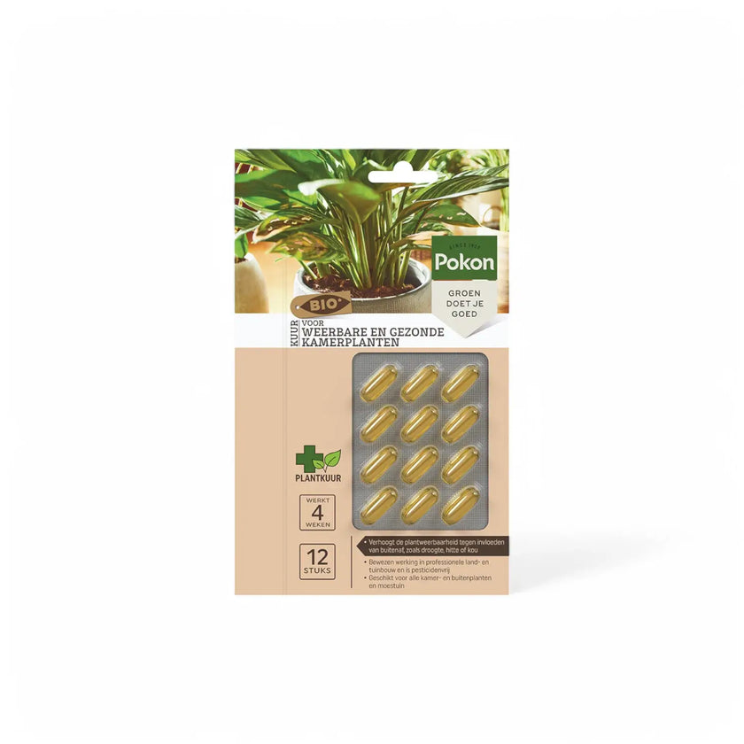 Pokon Bio Plant Cure Capsules on white background, product photo 2.