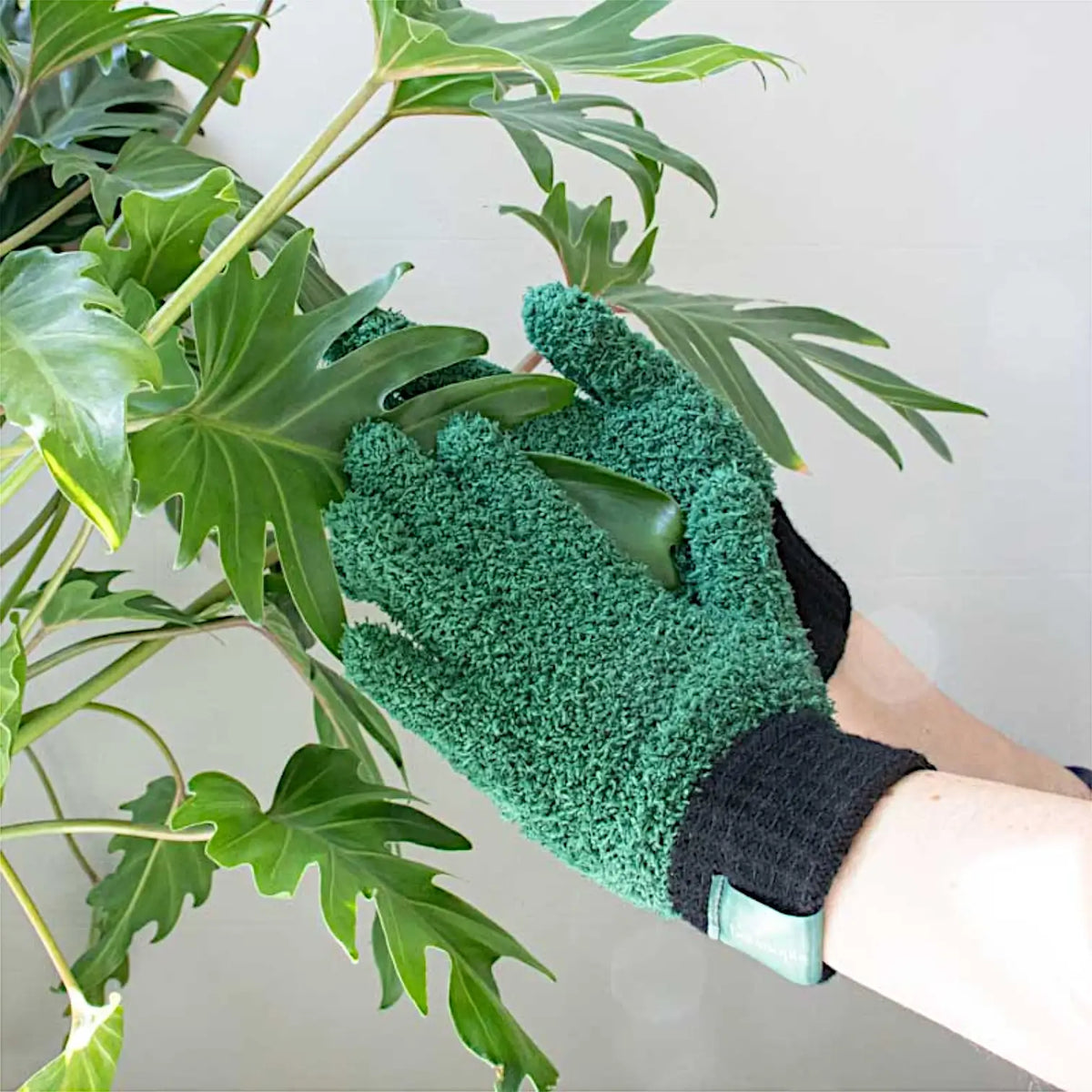 Microfiber Dusting Gloves for Plants on white background, product photo 2.