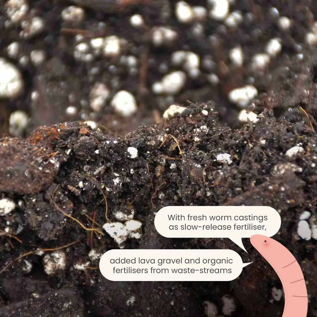 Anthurium Soil Mix on white background, product photo 7.