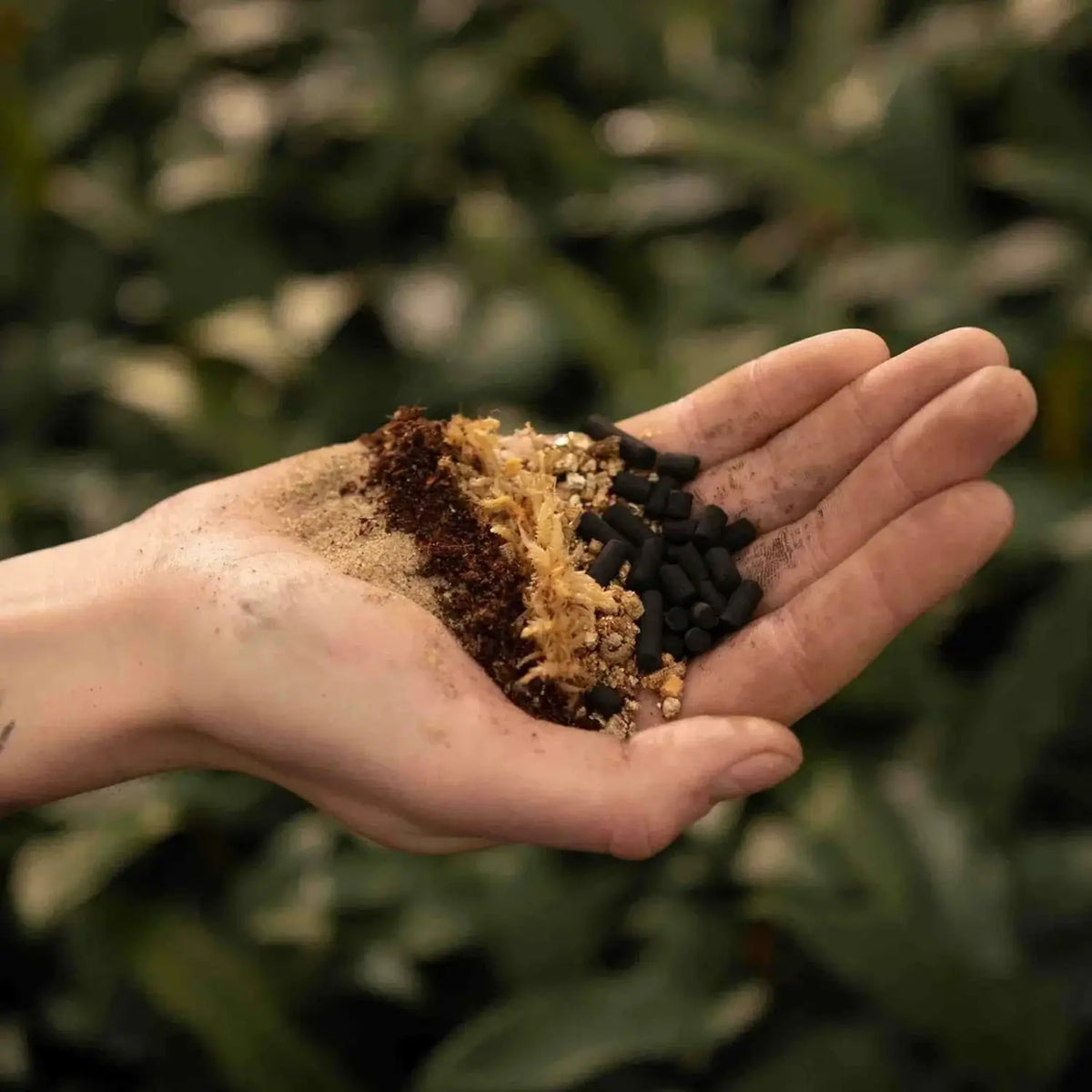 Carnivorous Plant Soil Mix on white background, product photo 2.