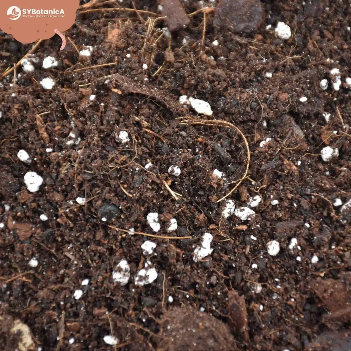Hoya Potting Mix on white background, product photo 4.