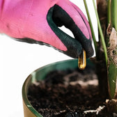Pokon Bio Pflanzenkur-Kapseln vor weißem Hintergrund, Produktfoto 4.