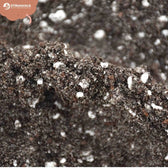 Farn-Substratmischung vor weißem Hintergrund, Produktfoto 7.